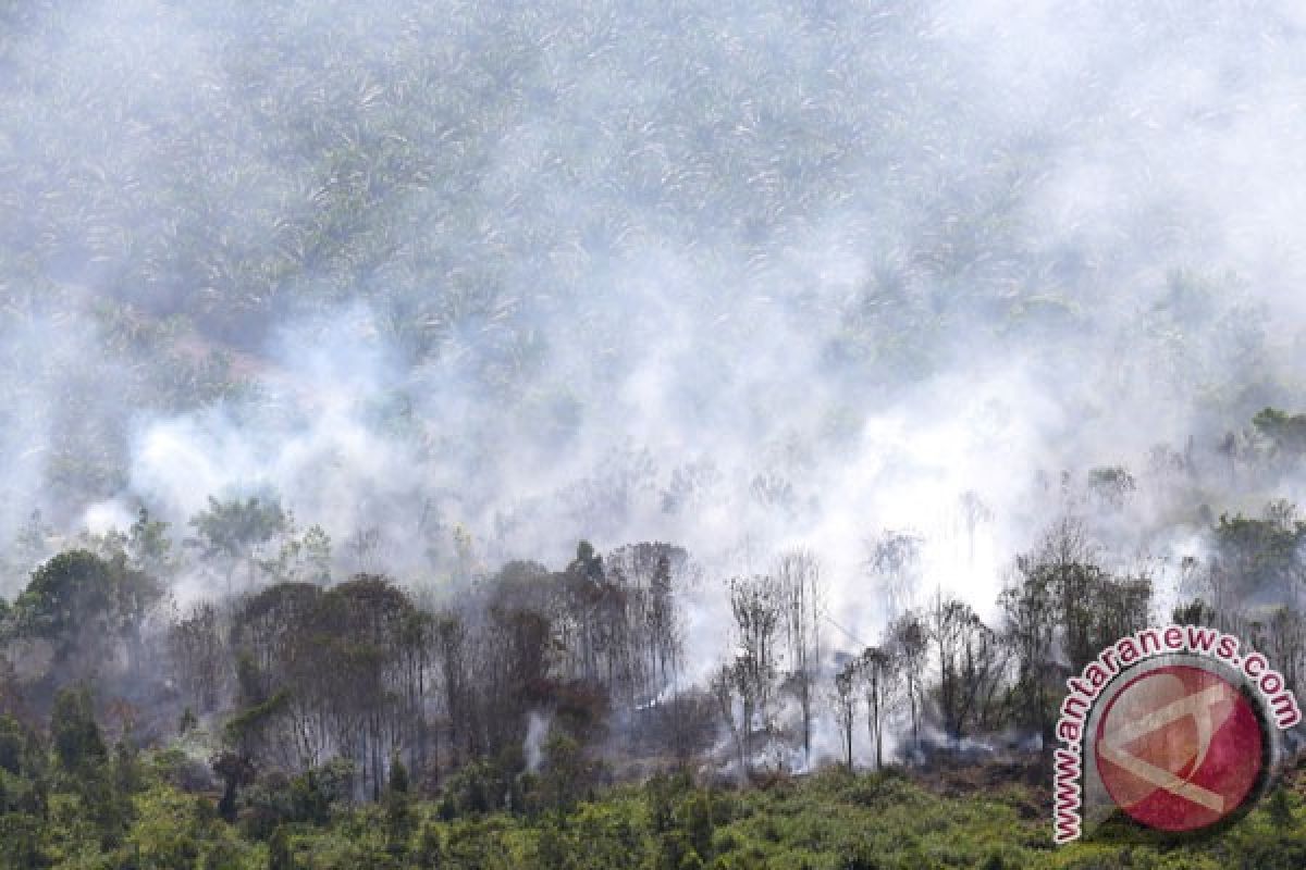 Legislator minta masyarakat ikut tanggulangi kebakaran lahan