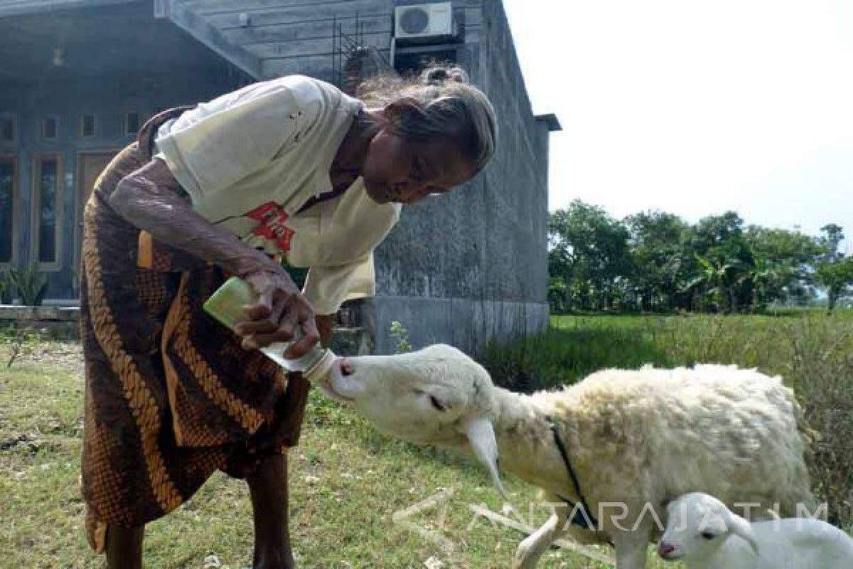 Bojonegoro Berencana Gelar Festival HAM