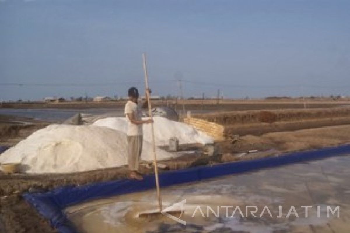 Luas Lahan Tambak Garam di Probolinggo Cenderung Turun