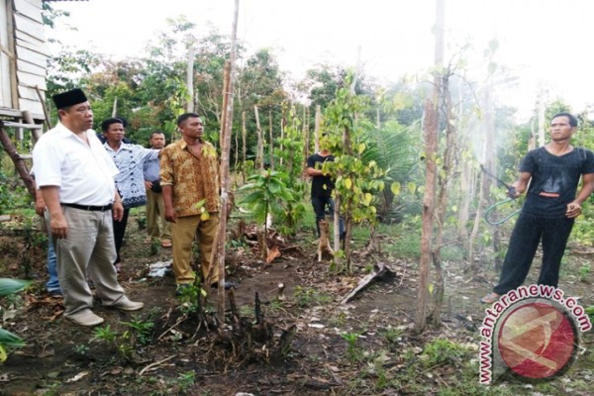 Wagub Babel Akan Salurkan Pupuk Organik Korsel