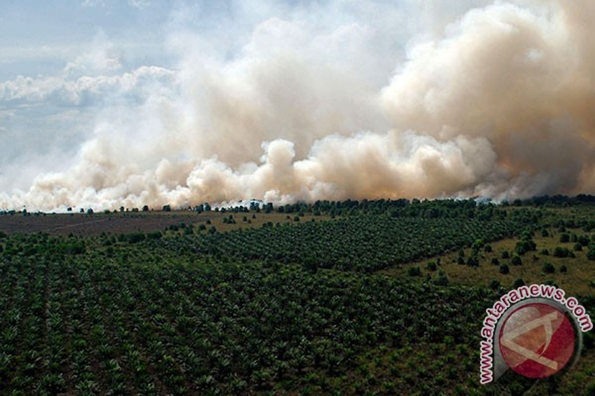 Sampoerna Agro gelar pelatihan atasi kebakaran hutan di Sumsel