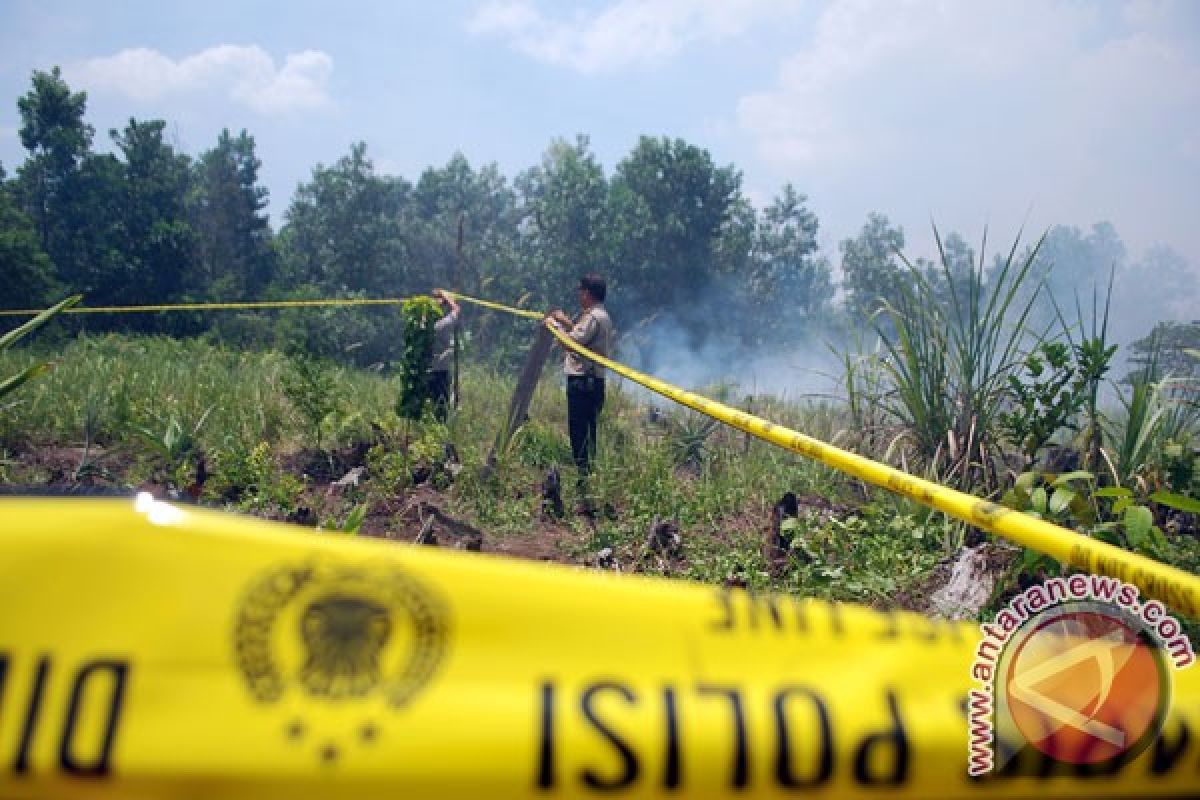 Penyidik kebakaran hutan disandera massa