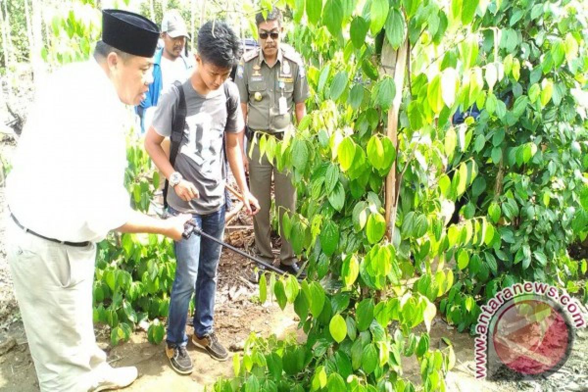 Hidayat Arsani Bagikan Langsung Bantuan Pupuk ke Petani