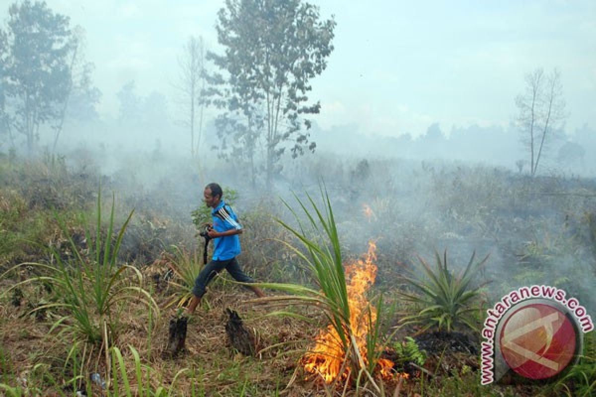 Waspadai potensi kebakaran hutan di Sumatera-Kalimantan, kata BMKG