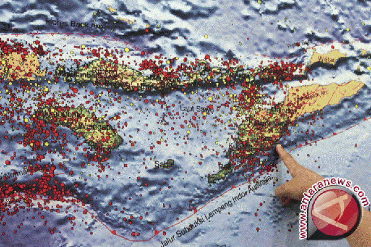 Gempa 4,4 SR Guncang Maumere, Sikka