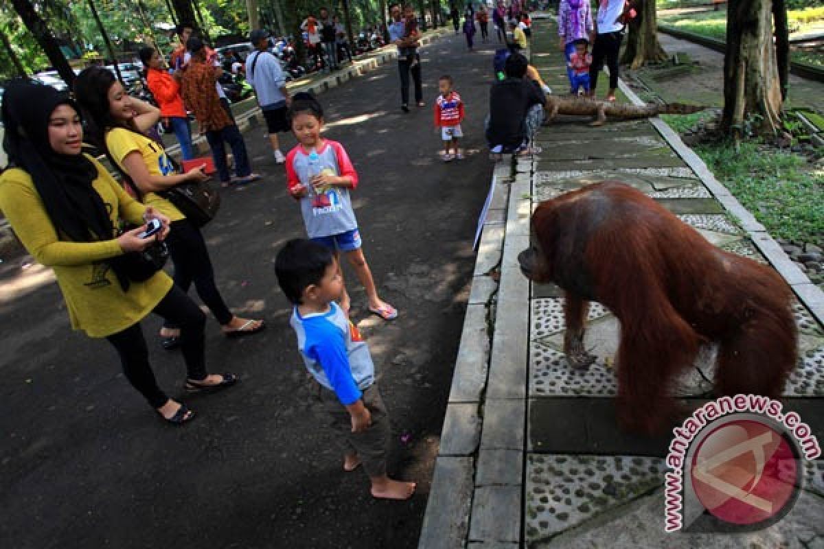 TSTJ Surakarta akan membenahi wahana air terjun menari