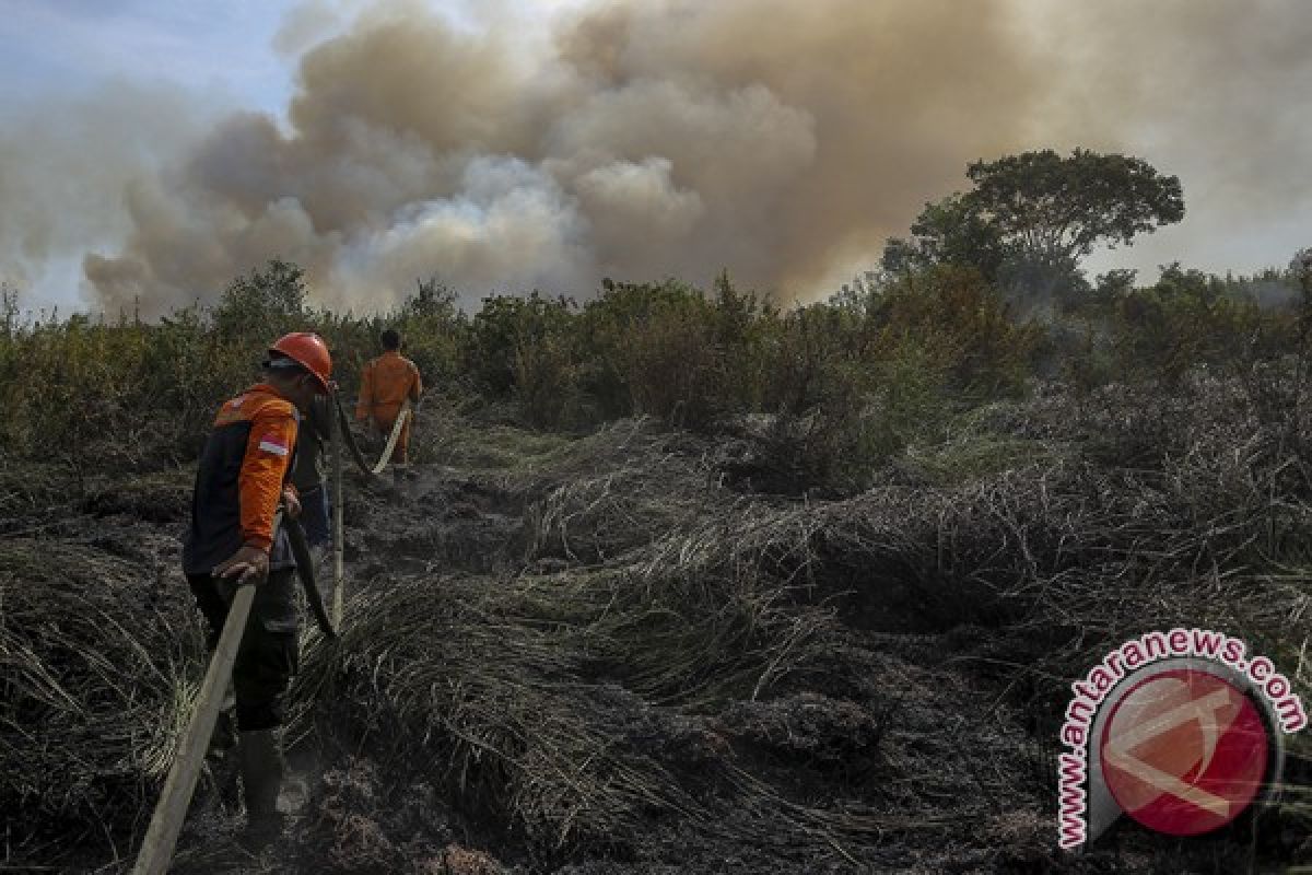 Wagub: Sumatera Selatan lewati masa kritis karhutla