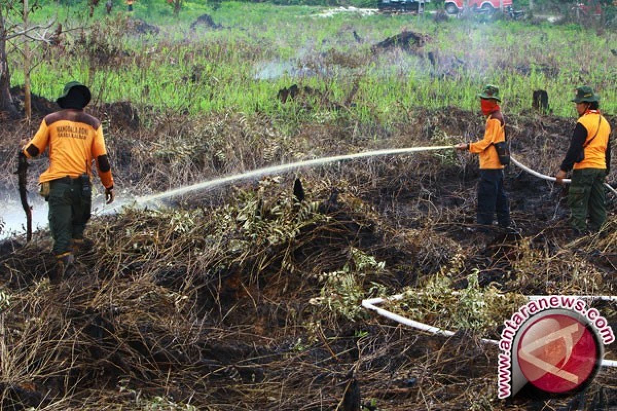 Restorasi gambut butuh dukungan masyarakat lebih besar