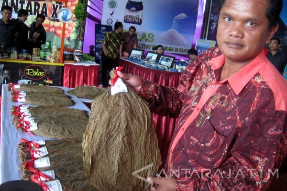 Harga Jual Tembakau di Jember Tinggi 