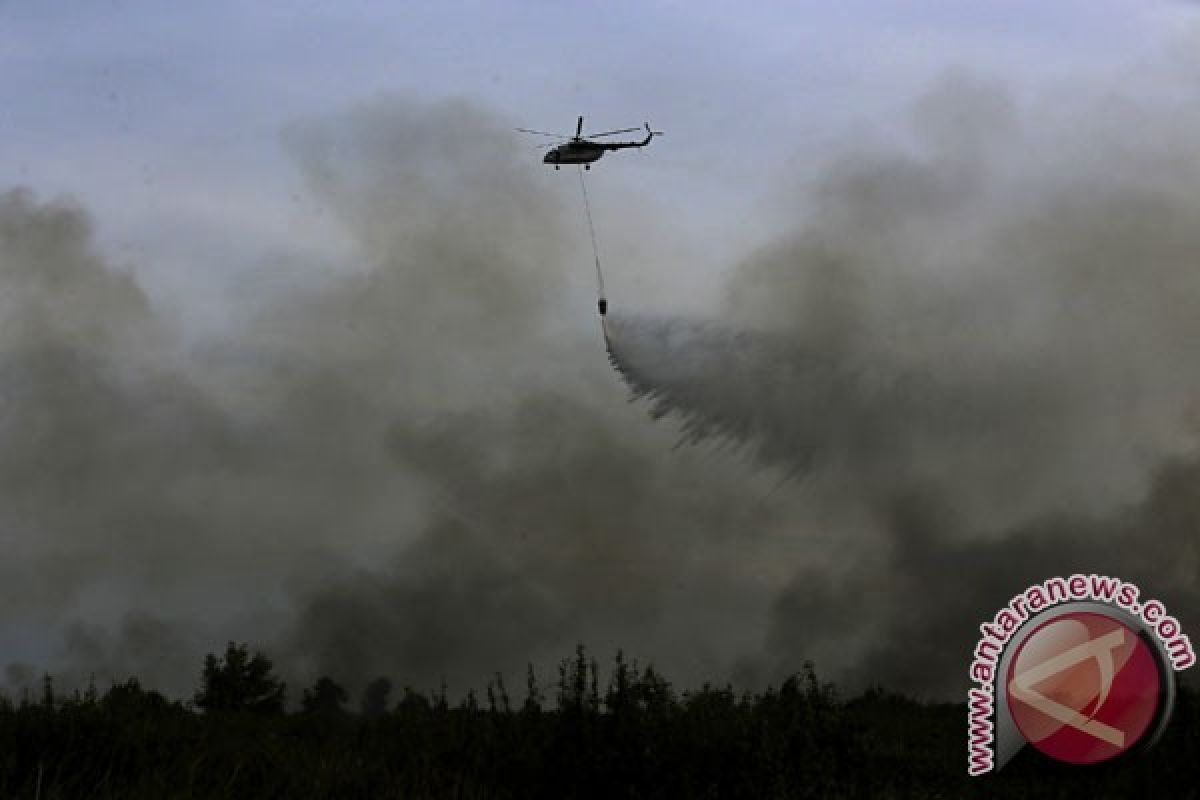 Kebakaran hutan melanda Israel dan Tepi Barat