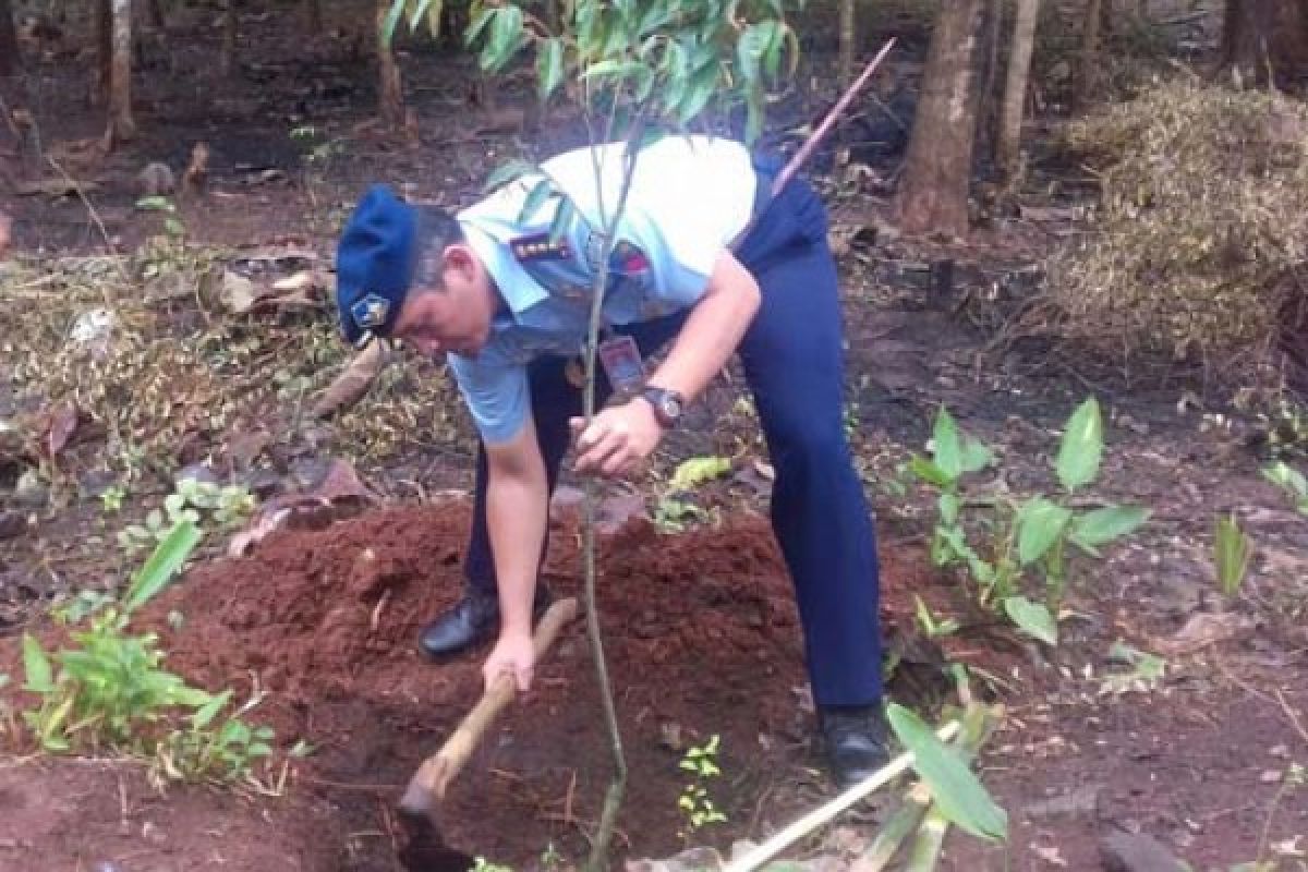 TNI AU-Semutireng Community Tanam 1.000 Pohon