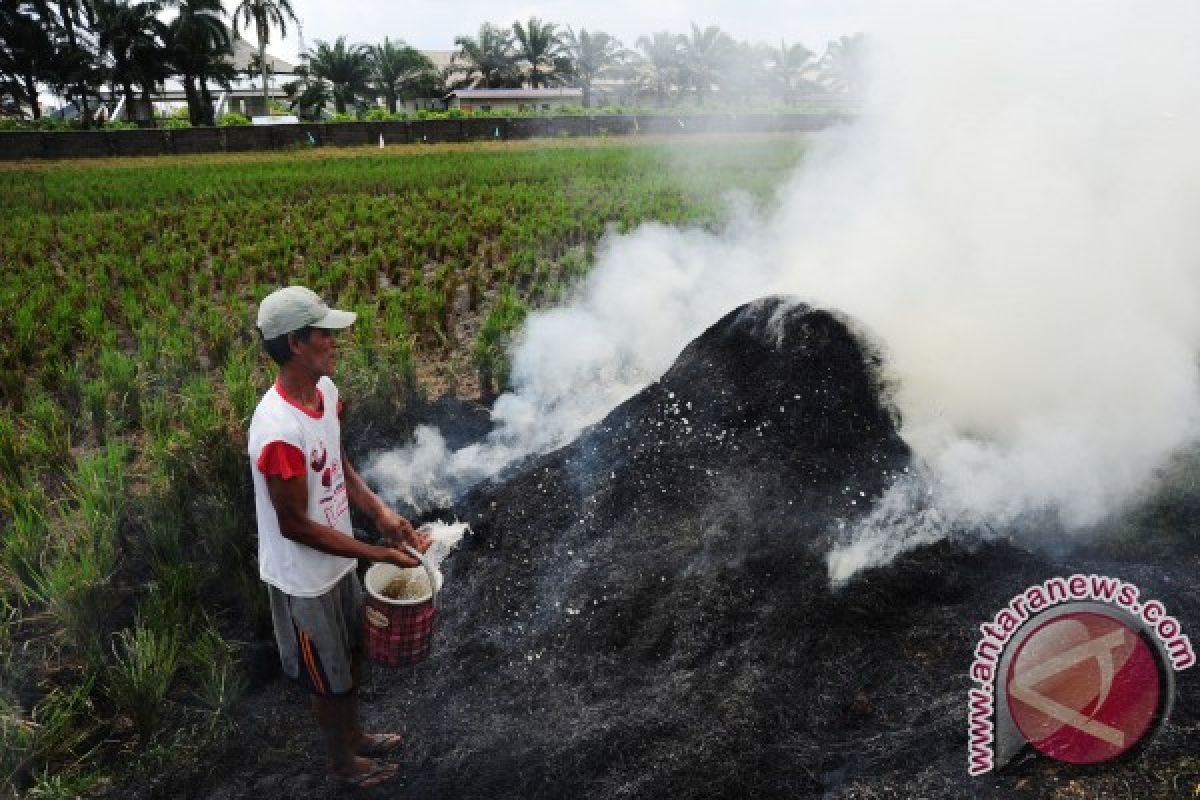 Kubu Raya Raih Penghargaan Pencegahan Karhutla