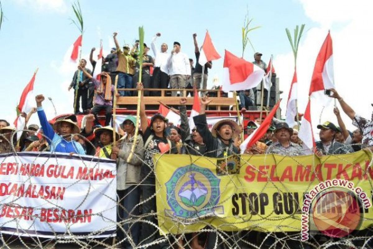 Ribuan petani tebu aksi tolak impor gula