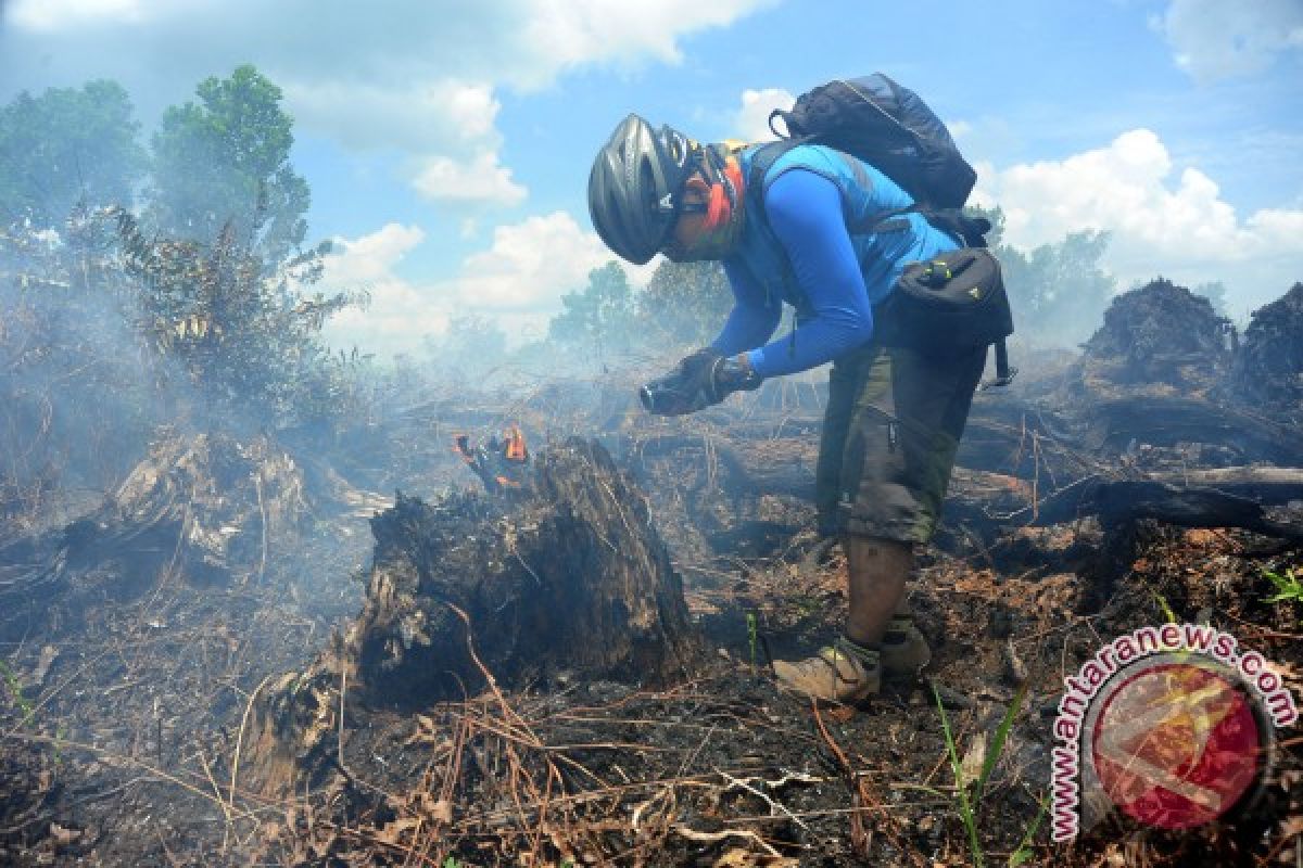 Lima Hektare Lahan Gambut di Kubu Raya Terbakar 