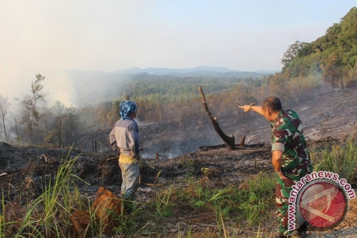 Tujuh desa di Kapuas Hulu rawan karhutla