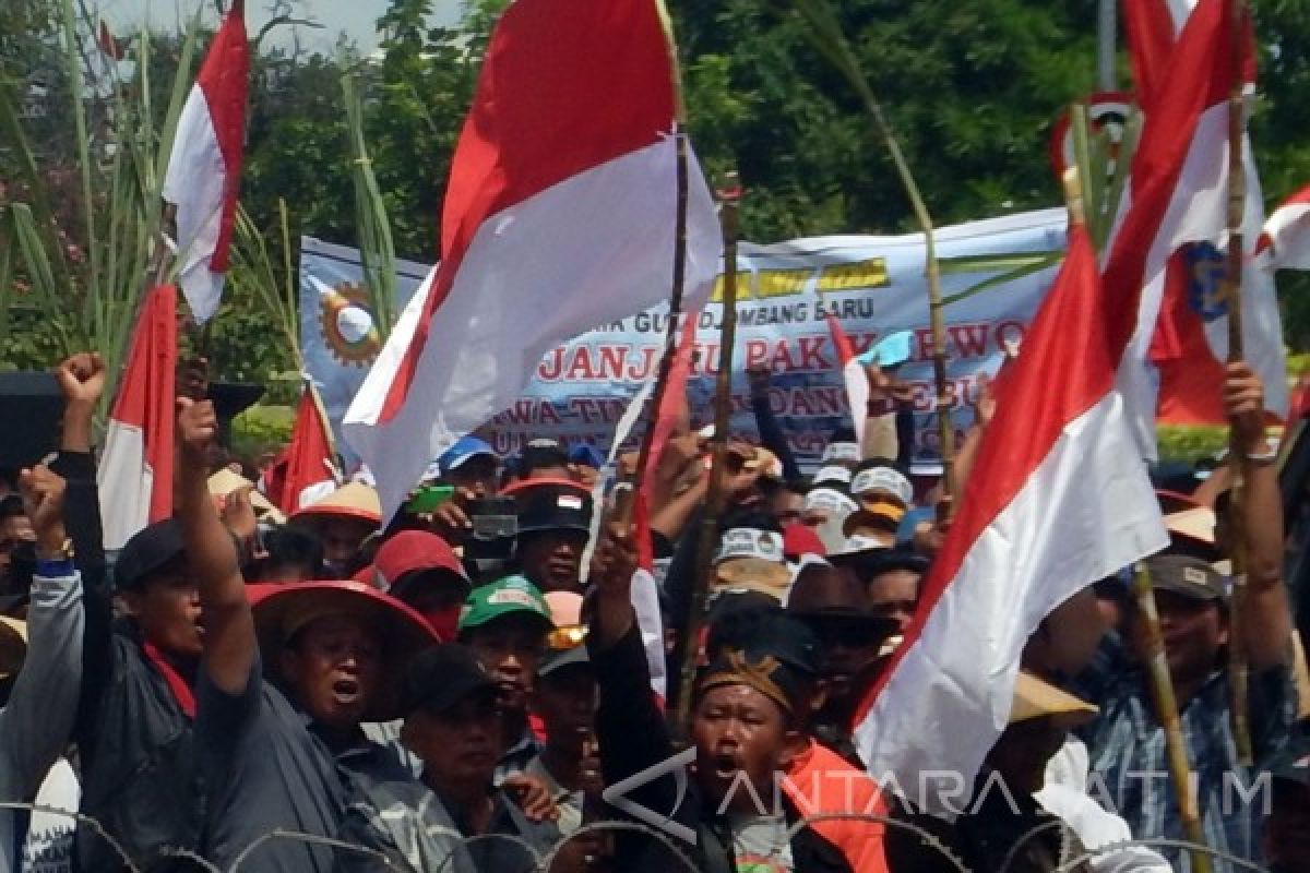 Petani Tebu Tolak Rencana Impor Gula