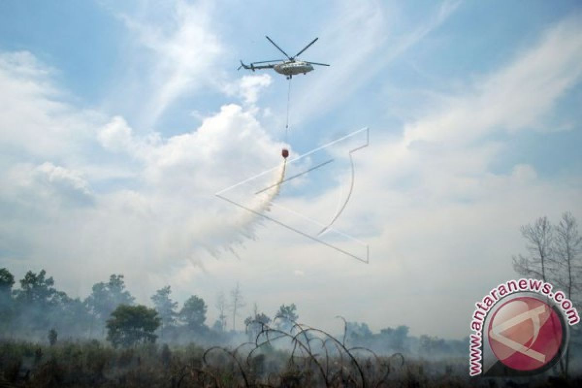 Titik Panas Kebakaran Lahan di Indonesia Meningkat