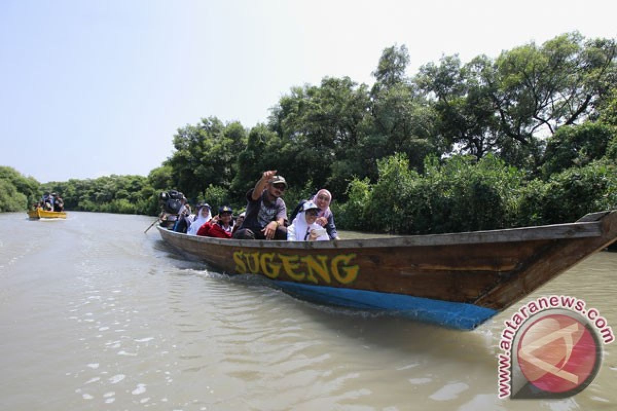 Mentari Internasional School tanam mangrove di Pariaman
