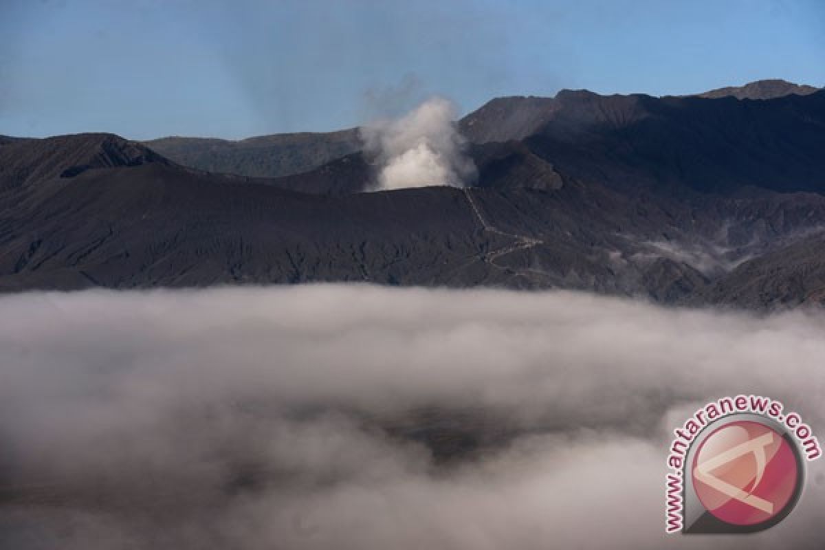 Bandara Notohadinegoro Jember tidak terdampak abu Bromo