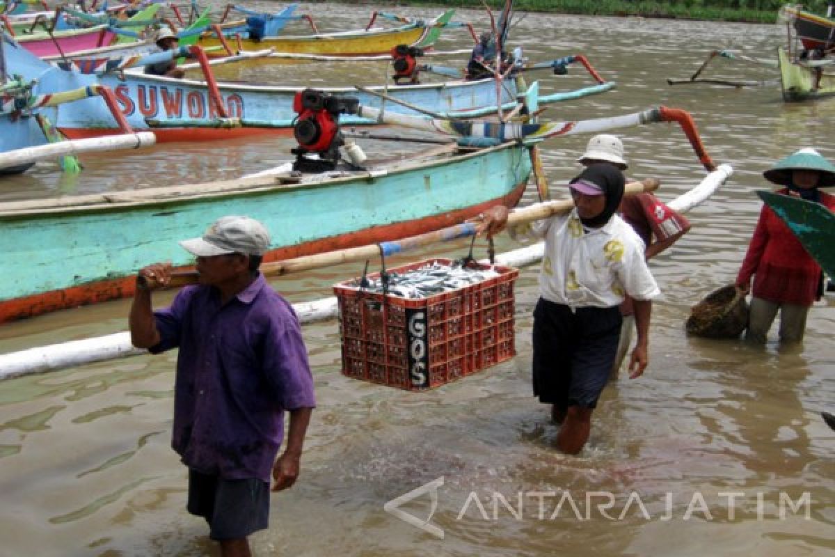 Disperikel Jember Anggarkan Asuransi Nelayan Rp200 Juta