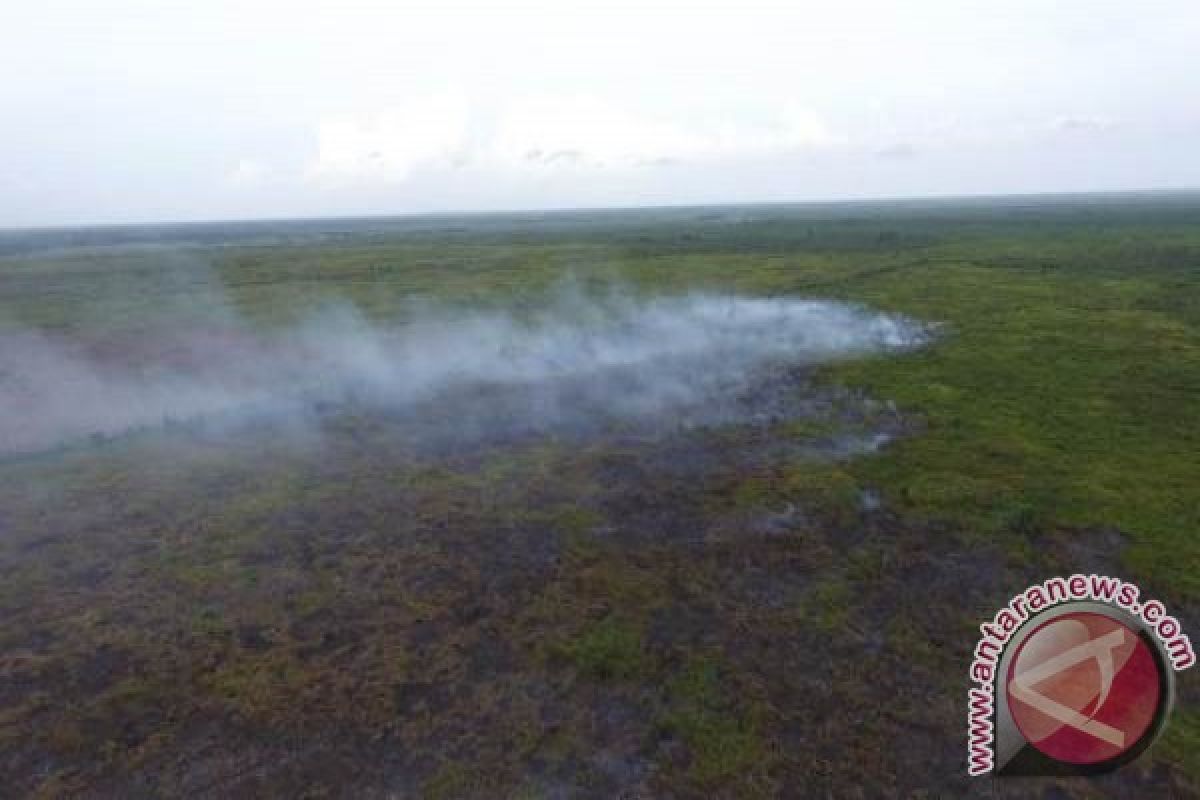 Sengaja Dibakar, Polres Kotim Tangani Dua Kasus Kebakaran Lahan 