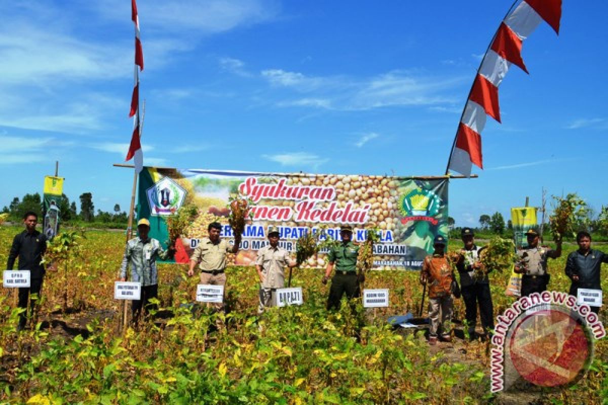 Batola Tunjukkan Kemajuan Penghasil Pangan 