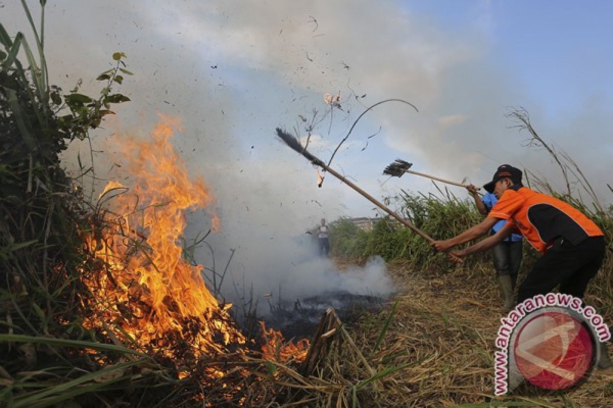 Perusahaan perkebunan Sumsel siaga cegah kebakaran hutan