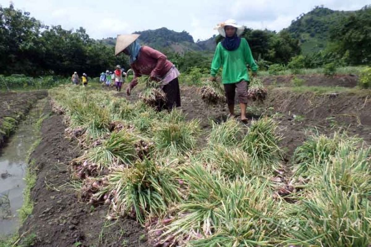 BLH: Dinas Pertanian Bojonegoro Belum Menindaklanjuti Semburan