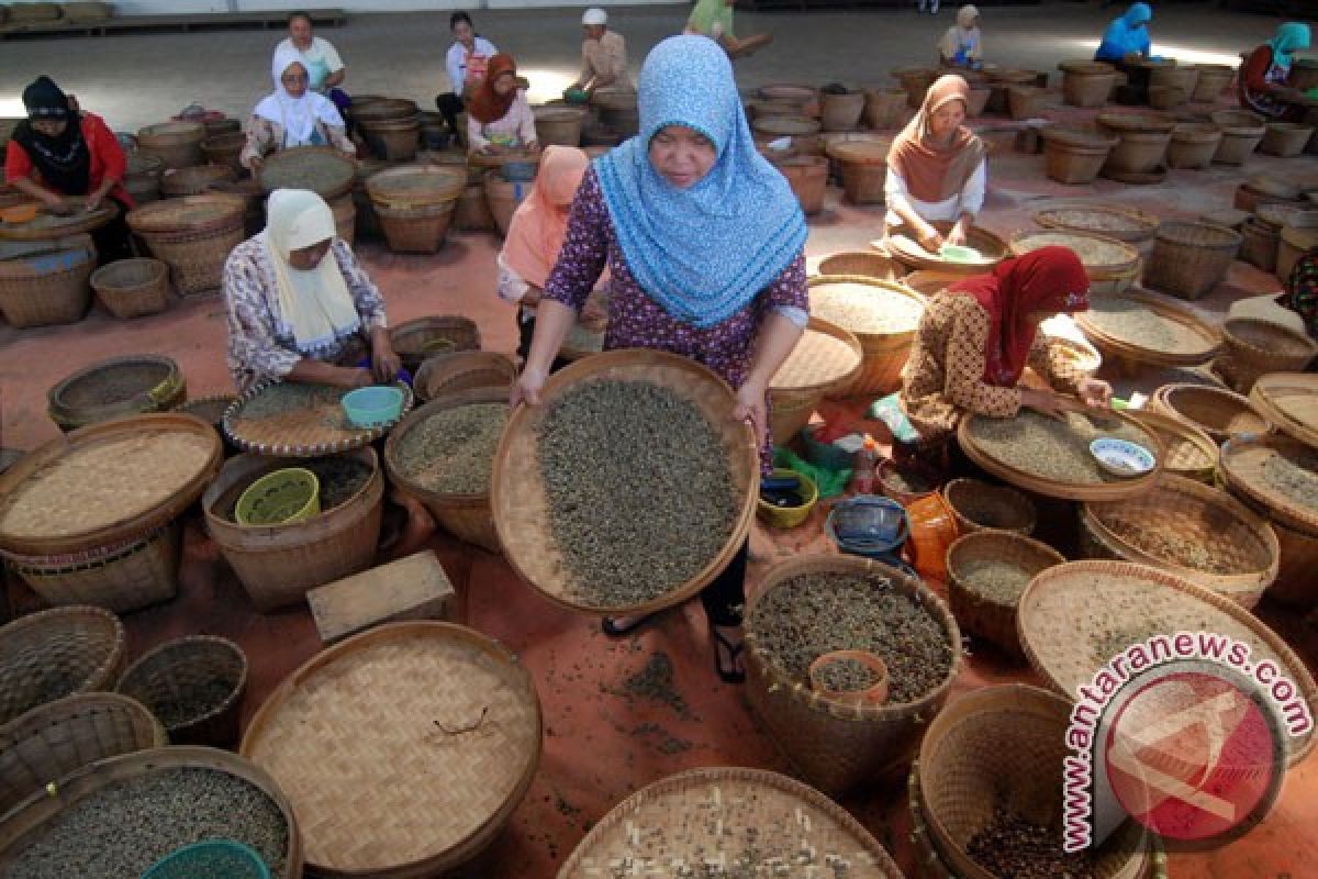 La Nina berdampak buruk pada kualitas kopi