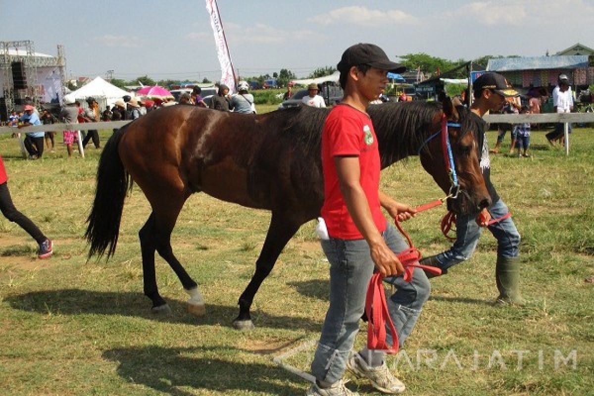 Pordasi Jatim Target Tiga Emas di PON 2016     