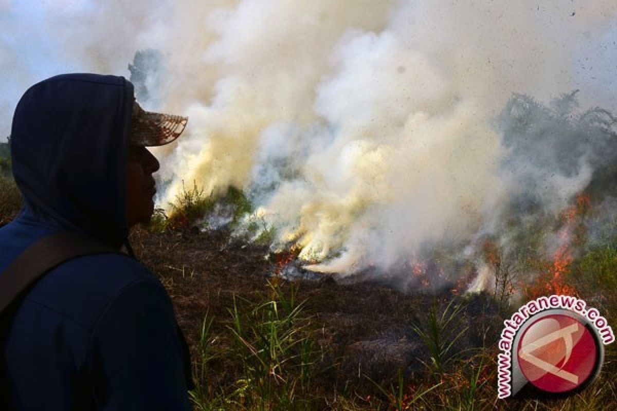 Kebakaran Lahan di Singkawang Timur Meluas