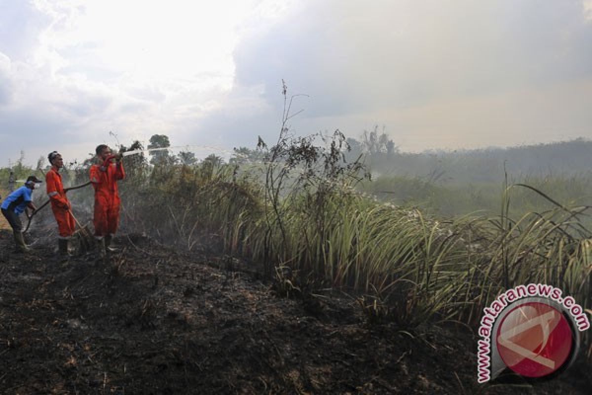 Wagub: Sumsel sudah lewati masa kritis kebakaran hutan