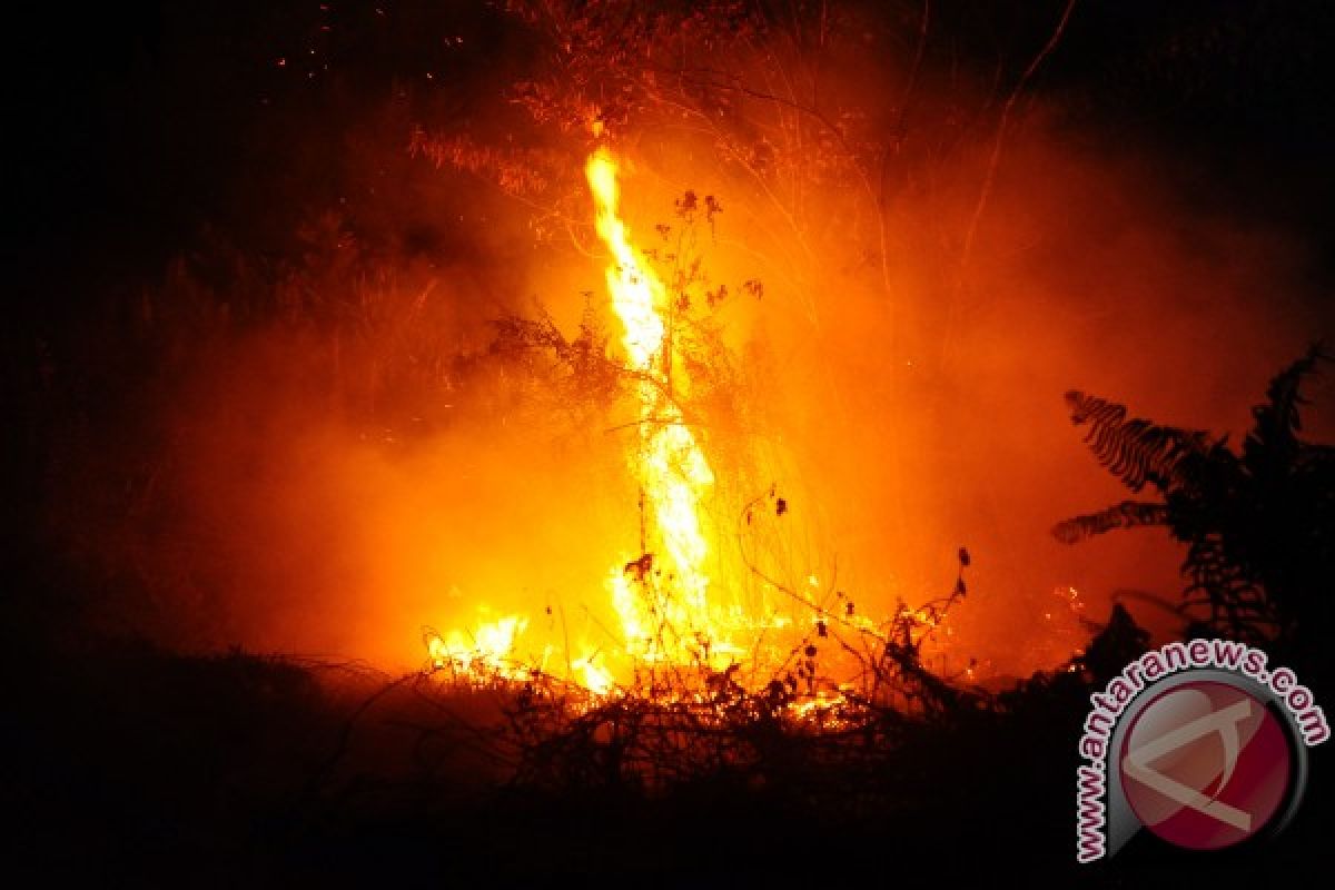 Masyarakat Singkawang Diimbau Hentikan Bakar Lahan 