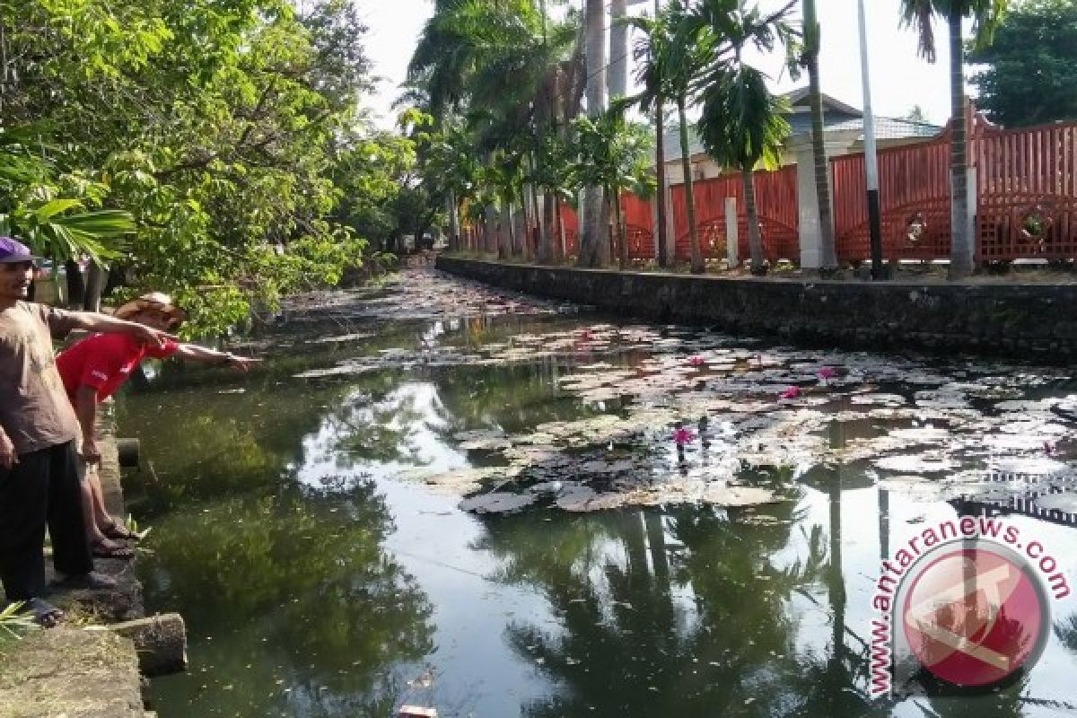 FKH Benahi Teratai Hiasi Banjarmasin 