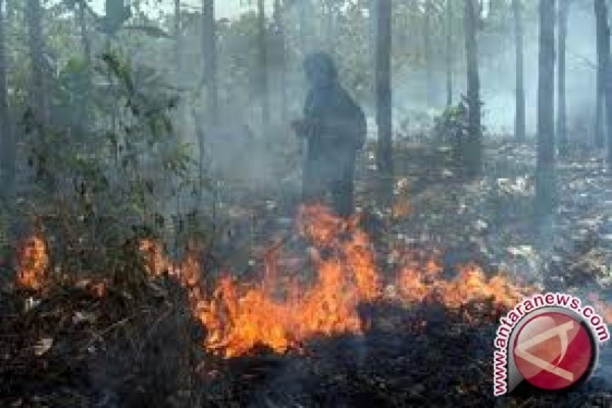 Sumbar Perkuat Koordinasi Instansi Antisipasi Karhutla