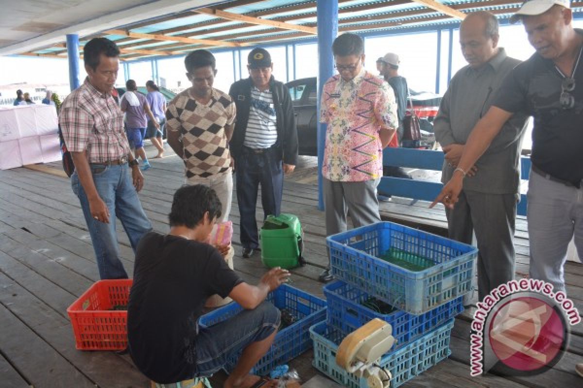 Gubernur : Semoga Hulu Perikanan Kembali Bergairah--Besok Ekspor Perdana Via Udara