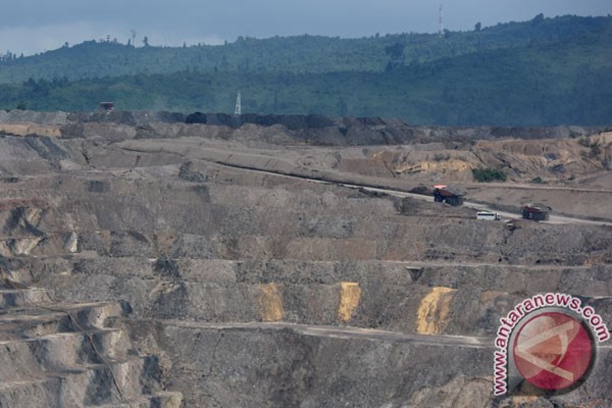 Rencana pengurangan emisi Indonesia jadi sorotan