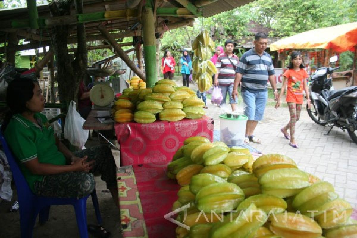 Pokdarwis: Pengunjung Wisata Kebun Belimbing Bojonegoro Meningkat