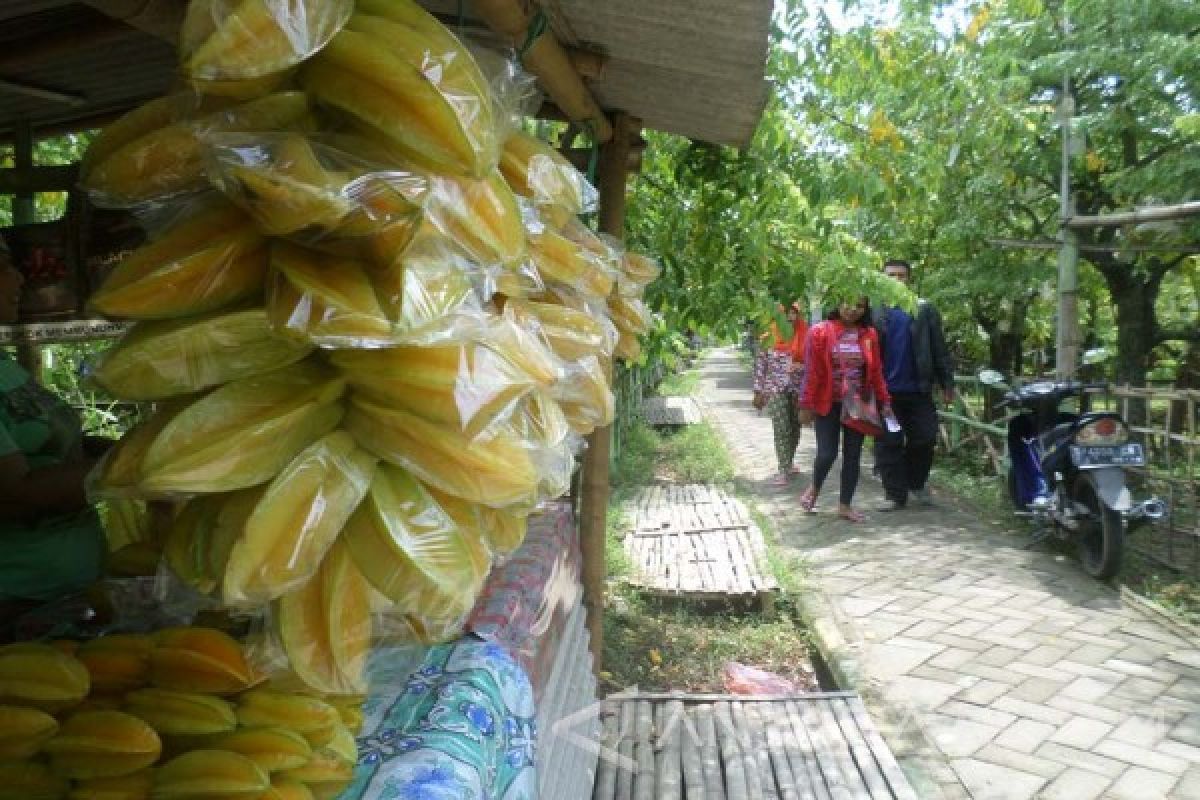 Bojonegoro Rintis Kebun Belimbing Masuk Wisata Jatim