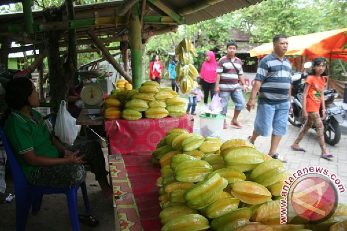 Ngringinrejo Bojonegoro gelar festival belimbing