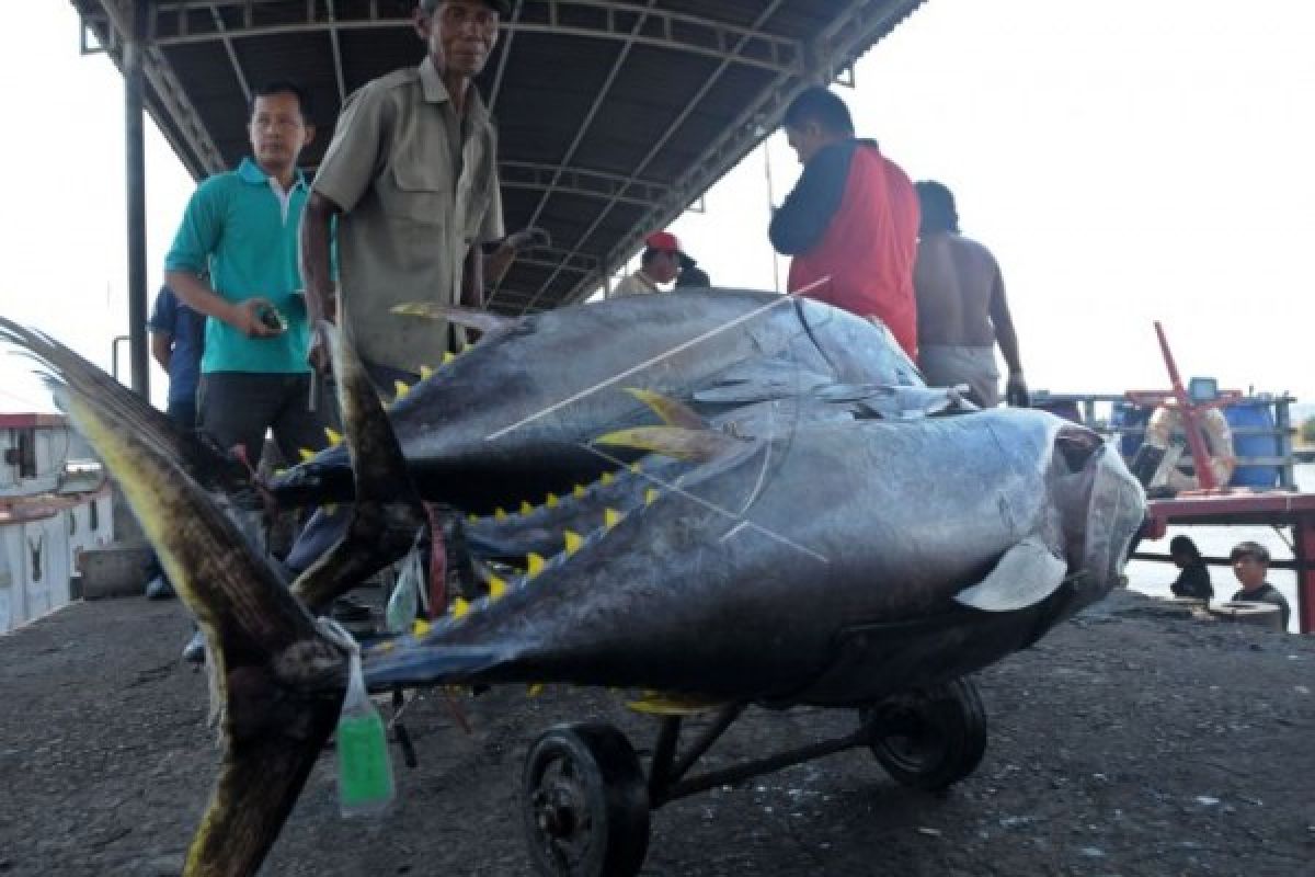 Cuaca Buruk, Transaksi Pelelangan Ikan di Cilacap Menurun