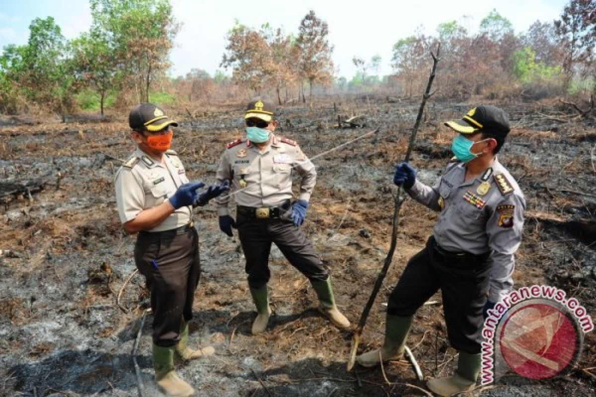 Kapolda Kalbar Pimpin Langsung Pemadaman Karhutla 