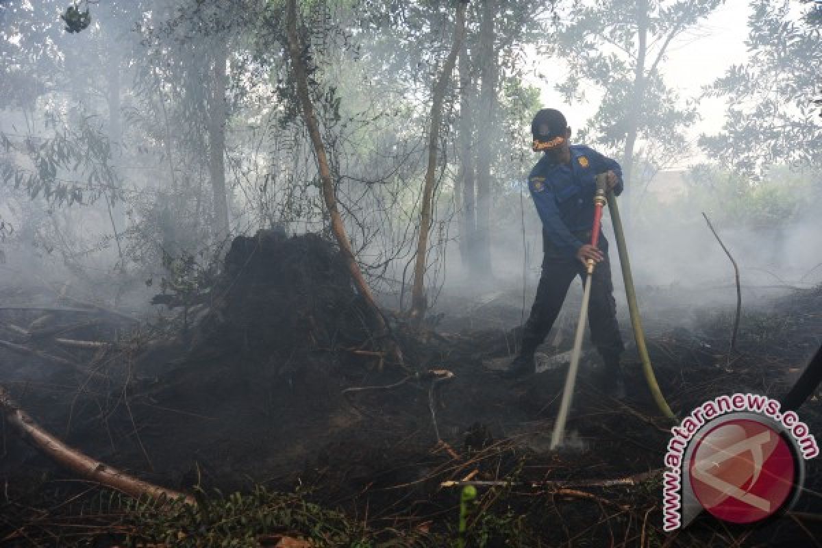 BPBD Pontianak Padamkan Kebakaran Lahan Gambut 