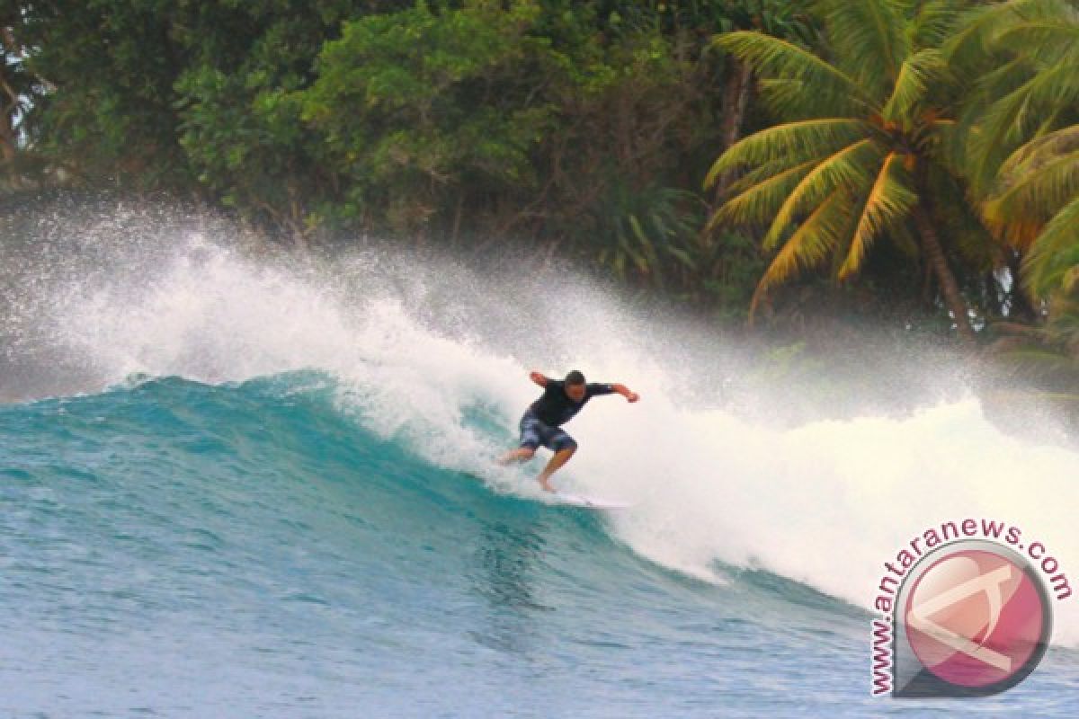 Pemkab Malang Gali Potensi Wisata Selancar Pantai Selatan