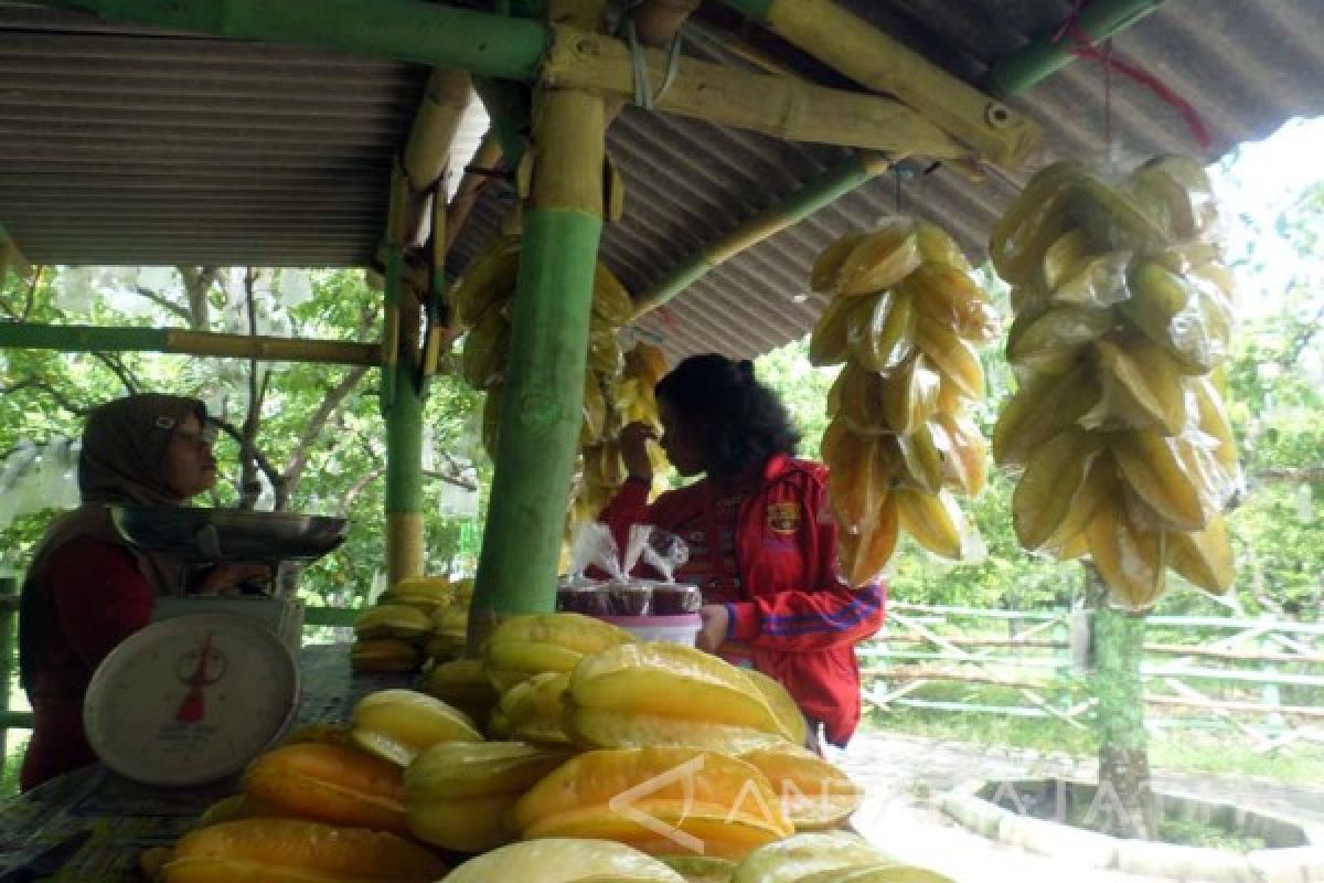 Mahasiswa Malang Wisata di Kebun Belimbing Bojonegoro