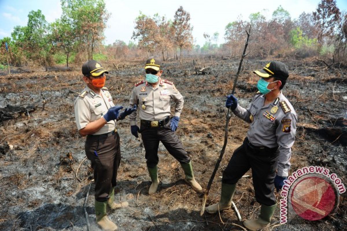 Menhut : Indonesia Siaga Darurat kebakaran Hutan 