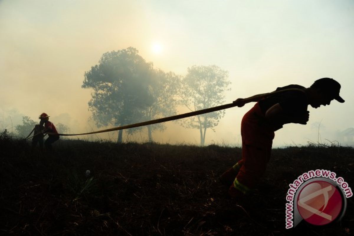 Wagub Kalbar Minta Petugas Siaga Kebakaran Lahan