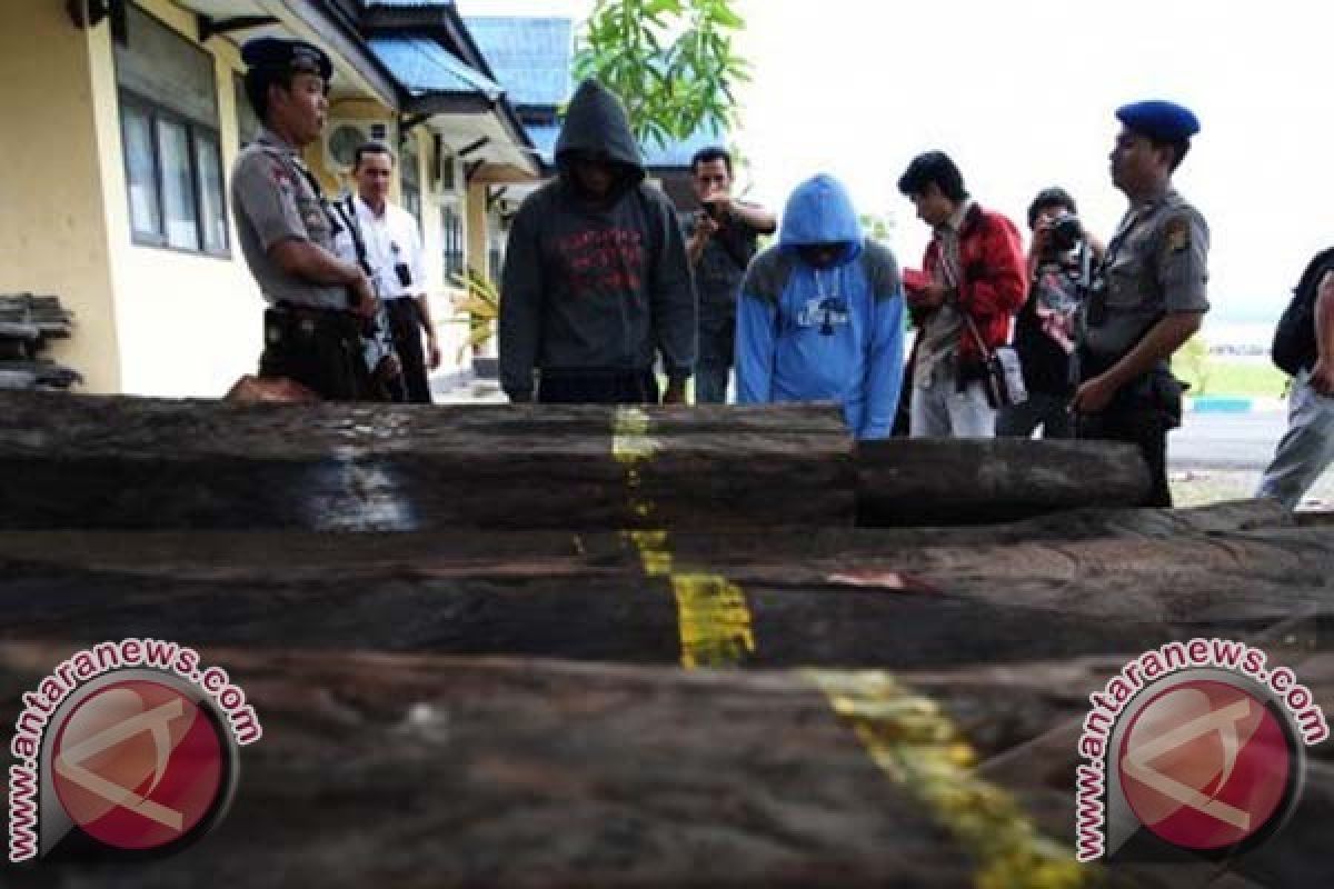 PN Palu Gelar Sudang Penyelundupan Kayu Hitam 