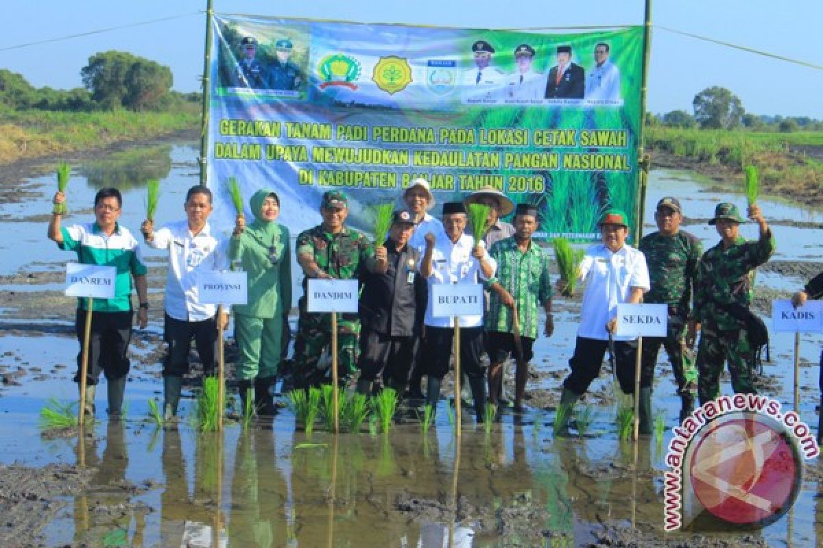 Banjar Lumbung Padi Pangan Kalsel