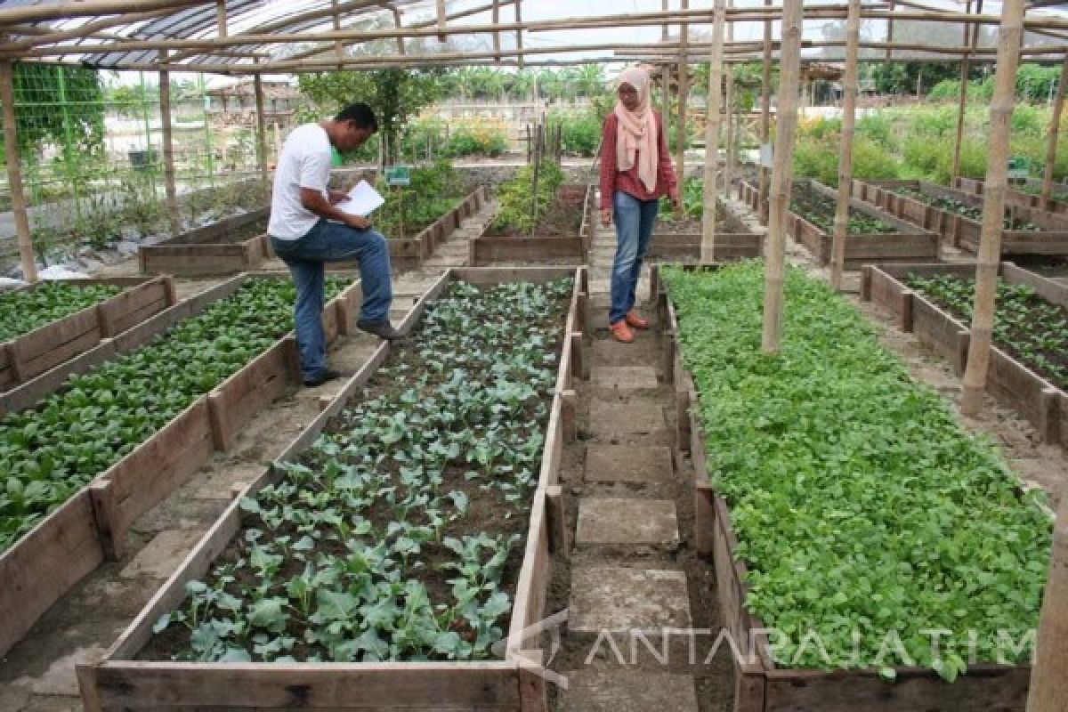 Agroguna Bojonegoro Berencana Kembangkan Wisata Kuliner